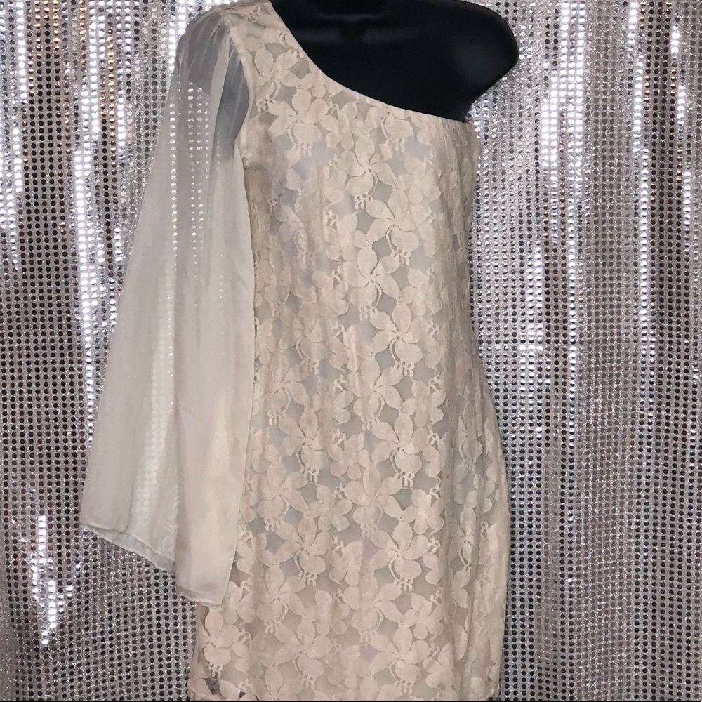 (NWT) #RareLondon Cream Sheer Sleeve Lace Dress